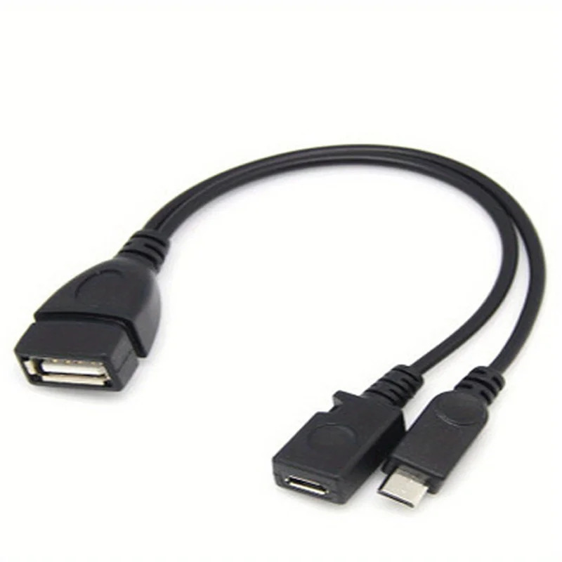 2-in-1 OTG USB to Micro USB Sp - Fire Tablet Accessories 리뷰 및 가격