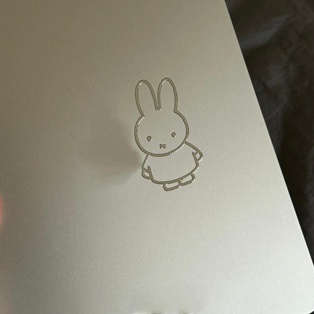 Miffy Rabbit  metal stickers h - Fire Tablet Accessories 리뷰 및 가격